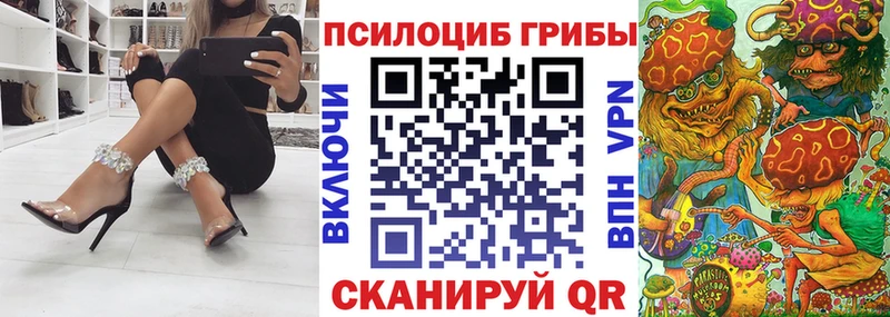 shop наркотические препараты  Шахунья  Псилоцибиновые грибы Psilocybe 
